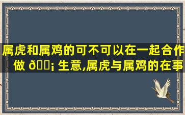 属虎和属鸡的可不可以在一起合作做 🐡 生意,属虎与属鸡的在事业上合作好不好